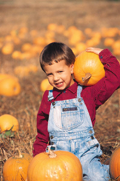 Young boy choosing a pumpkin from a pumpkin patch.